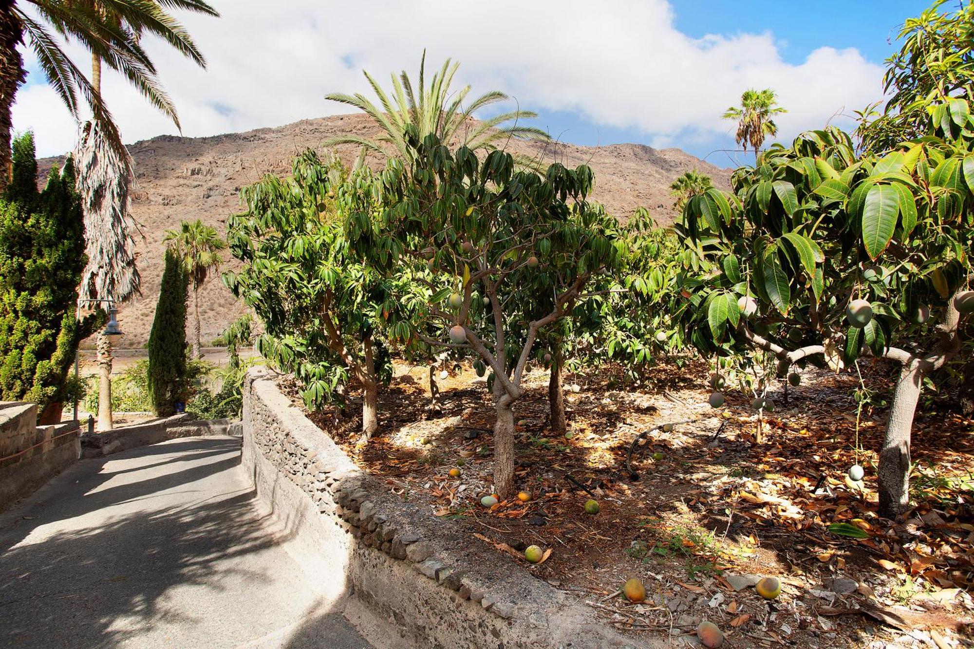 Paraiso Del Molinero Bajo Mogán Exterior foto